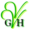 VivaViolas Guest Services